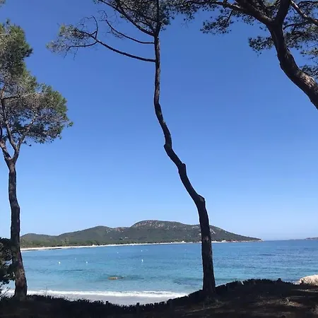 Lagoon - Porto-vecchio Port - 4-6 Pers - Piscine - Cita Di Sali פורטו-וישיו